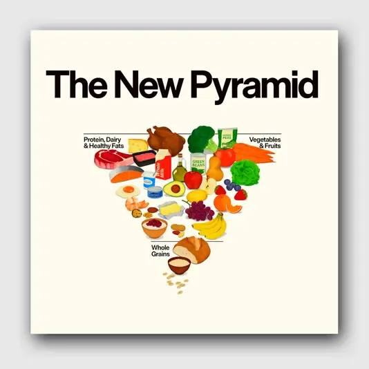 An inverted pyramid showing food groups with proteins, dairy, and alcohol at the top.